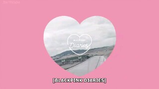 BLACKPINK DIARIES EP.14