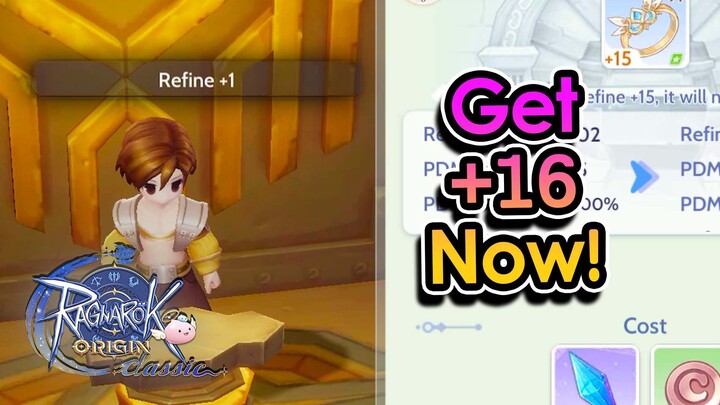 [ROOC] STOP! Get Your Accessories to +16 BEFORE Glast Heim! | King Spade
