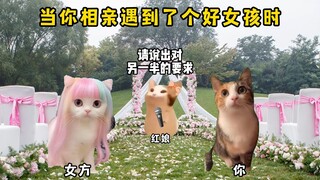 当你相亲遇到了个好女孩时！