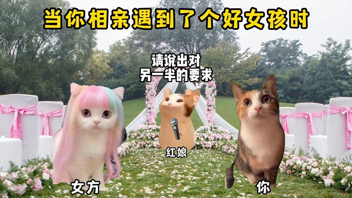 当你相亲遇到了个好女孩时！