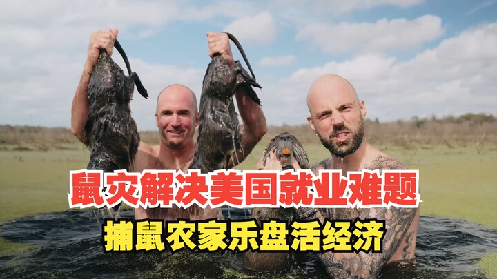 鼠灾解决美国就业难题，捕鼠农家乐盘活美国经济