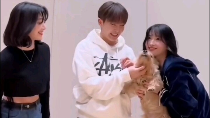 A challenge with two boos and two rabbit people