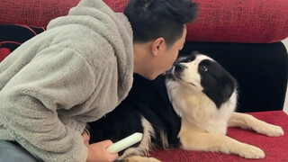 After eating green onions, breathe on your dog and see how it reacts?