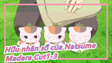 [Hữu nhân sổ của Natsume]Madara Cut1-3