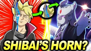 The TRUTH About Boruto's KARMA SEAL & His Ties To SHIBAI OTSUTSUKI!