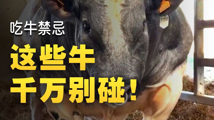 Chia sẻ vài loại bò không thể ăn, gặp phải thì vứt ngay!