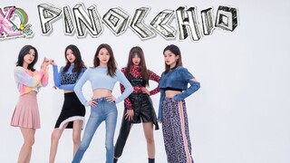 Second-generation group memories | Periwinkle has become a sea of function group F(x) "Pinocchio" fu