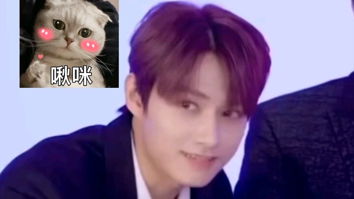 [Wen Junhui] Junni’s Cat-Attracting Aura