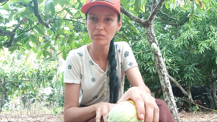 ACOMPANHE MINHA QUEBRA DE CACAU AQUI NO BRASIL. #bilibilibrasil