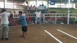 2 Hits Ulutan (April 09, 2024) 📍Pugo Sports Complex. CHAMPION 🏆