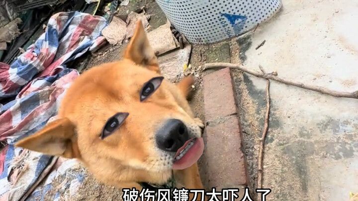 那卡扣是你的心结吗，就不能打开