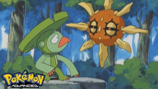 Pokémon AG Tập 339: Solrock và Hasubrero! Truyền thuyết của khu rừng thần thánh! (Thuyết Minh)