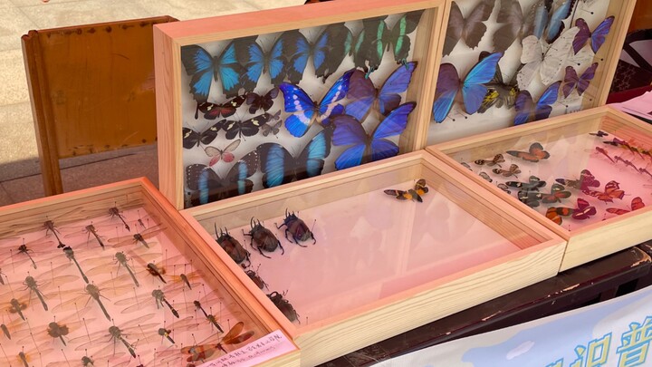 บูธประชาสัมพันธ์รับสมาชิกใหม่ของชมรมผู้สมัคร