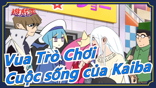 [Vua Trò Chơi ARC-V/ The Way of the Househusband] Cuộc sống của Kaiba sau khi kết hôn, phần 4