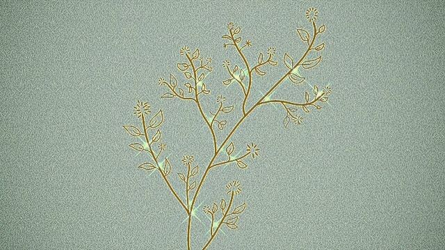 big bang - still life