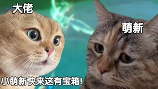 [Genshin Impact] When you use a 1-star Xianyun to guide a newbie