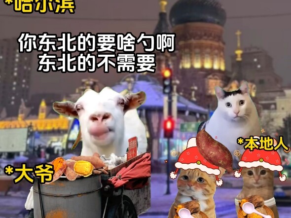 Harbin, you make me feel unfamiliar