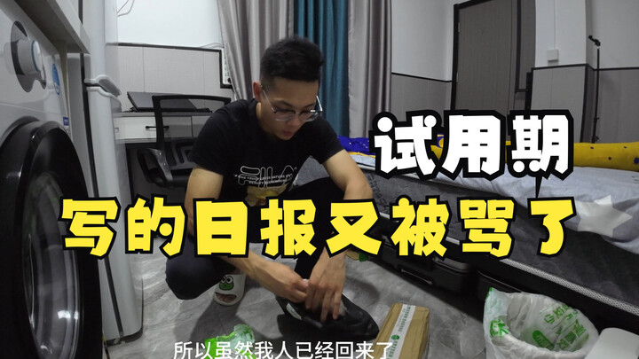 毕业入职第二个月，试用期写的日报又被骂了