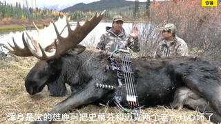 猎人使用弓箭狩猎驼鹿，一箭入魂一个夏天都不用买肉