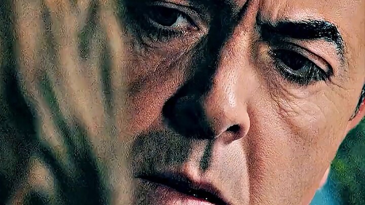 STAN LEES : THE LUCKY MAN