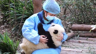 Mommy showering Lil He Hua with love. It's so cringy!