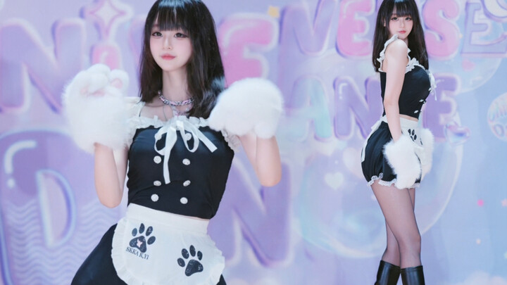 ៸៸᳐⦁⩊⦁៸៸᳐ ੭ﾞSerangan si Kucing Bobi Bo peep bo peep - tara
