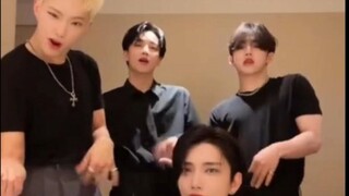 【SEVENTEEN】那些经典永流传的次人TikTok