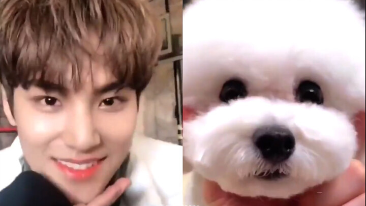 Aku mungkin bukan manusia, tapi Kim Min-gyu jelas-jelas anjing sungguhan.