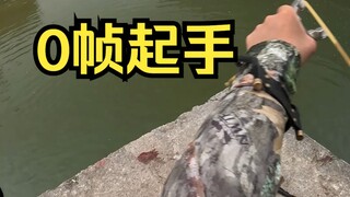 【袁桑弹弓】收拾清道夫麻烦各位点个赞哟感谢支持！！！！