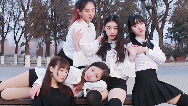 [Splits] Cosmic Girls-Save Me, Save You เต้นคัฟเวอร์เพลง Ji Ji ความลับของเกิร์ลกรุ๊ป