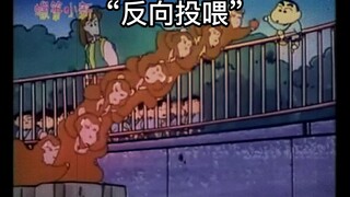 不可以投喂猴子哦~