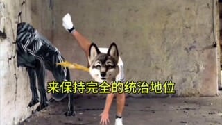 Một bộ sưu tập các phương pháp giải quyết vấn đề kỳ lạ và trừu tượng