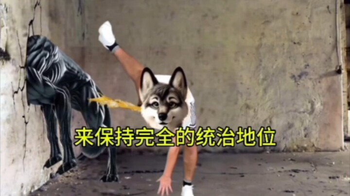 猎奇抽象的解决问题方法合集