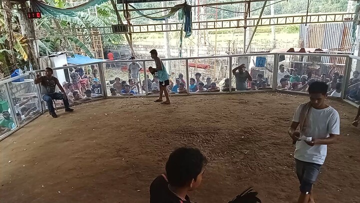 1st fight draw