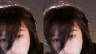Nanmeierya_2022.02.18_23-14-26-00.31.49.378-00.34.29.212_(new)