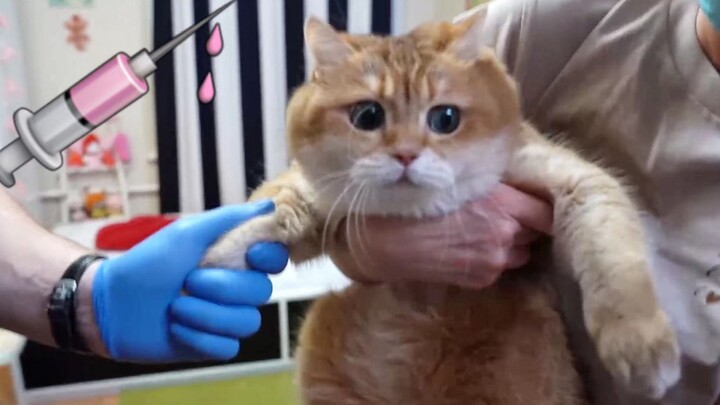 Don’t touch me! A tough guy looks utterly panicked during an injection.