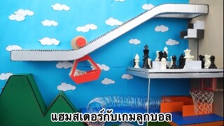 สัตว์เลี้ยง เพื่อนขนปุย : แฮมสเตอร์กับเกมลูกบอล