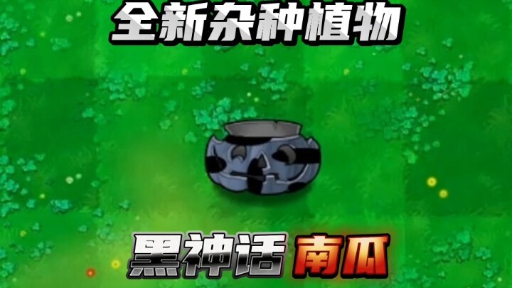 Brand-new hybrid plant: Black Myth ~ Pumpkin