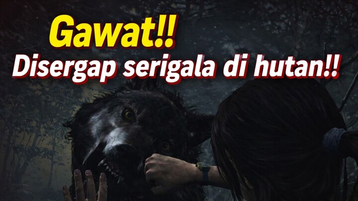 Tomb Raider 2013 Part 3 : Terjebak & Diserang Serigala di Tengah Hutan