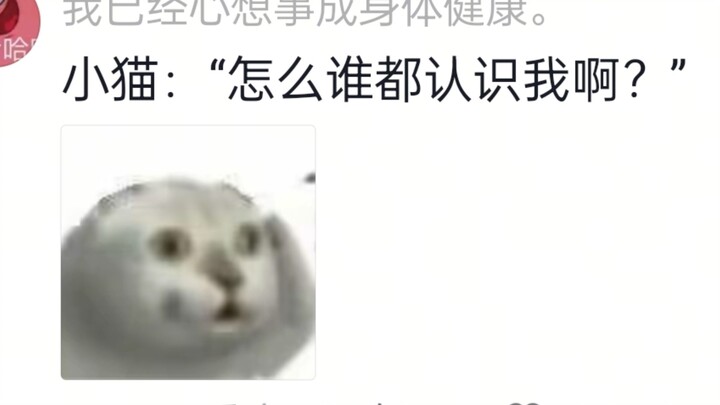 Apa yang harus dilakukan kalau jatuh cinta sama kucing yang sudah punya rumah!