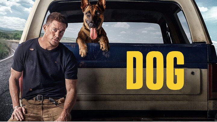 Dog 2022 [ English Sub ]