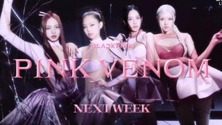 BLACKPINK、TWICE、IVE下周人歌打歌预告！