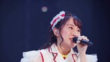 [Kualitas terbaik 4K] Cardinal Sakura OP "Catch You Catch Me" live, raja imut sangat populer!!!