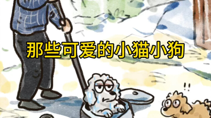 那些可以的小猫小狗