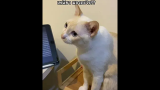 ดูจบขนลุกมากๆ 😥