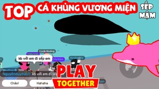 PLAY TOGETHER | Rất Nhiều Cá Khủng Vương Miện Trong Video - #10 FAN SẾP MẬM Săn Cá Hiếm