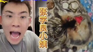 张学良小姨的后人，带着用金丝猴做成的坐垫，还有张学良送的大衣！