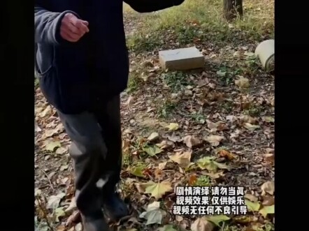 #HotCommentCopy#Funny#ShareTheJoy