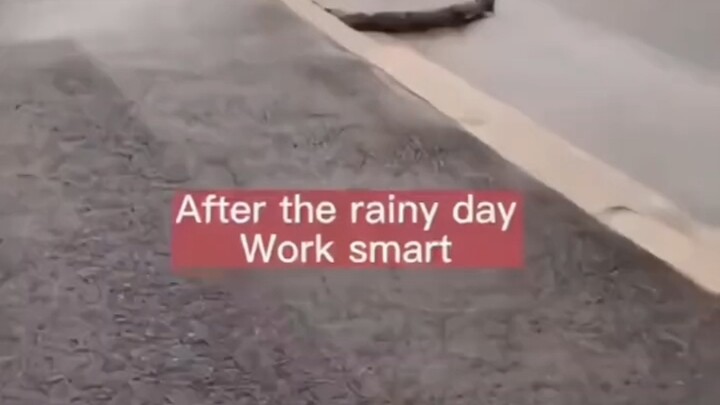 حكمة الشعب العامل