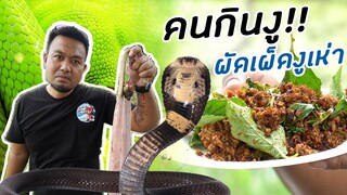 จ่าต่อ EP.2 | คนกินงู!! ตัดหัว ถลกหนัง ทำเมนูงูเห่าอสรพิษผัดเผ็ด